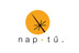 naptu-logo-ff01.jpg